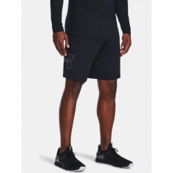 Under Armour Tech Graphic 1306443-001, 1306443-001